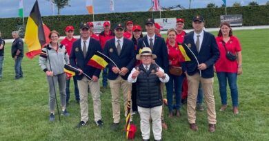 Deux nouvelles médailles européennes pour le sport équestre belge, cette fois en attelage - RTBF Actus