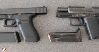 Deux pistolets automatiques saisis par la BAC à Fort-de-France