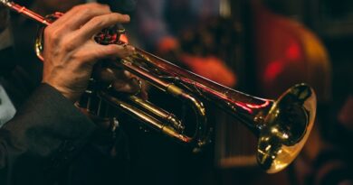 Du 18 au 28 septembre : Colmar Jazz Festival est de retour !