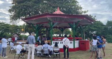 EN IMAGES : Fin des premiers travaux Place des Amandiers