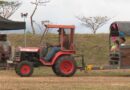 EN IMAGES. Jeux équestres, maïs sucré et convivialité... la recette de la fête agricole de Pouembout