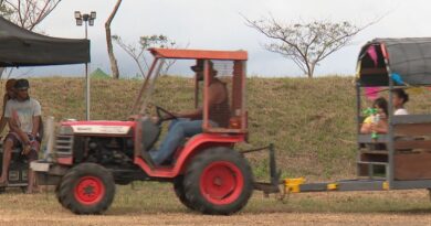 EN IMAGES. Jeux équestres, maïs sucré et convivialité... la recette de la fête agricole de Pouembout