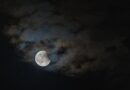 EN IMAGES. Lune de sang : l'éclipse lunaire vue du monde, des photos amateures et professionnelles spectaculaires
