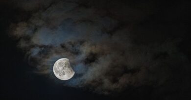 EN IMAGES. Lune de sang : l'éclipse lunaire vue du monde, des photos amateures et professionnelles spectaculaires