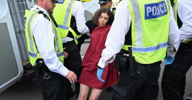 EN IMAGES | Près de 900 arrestations à un rassemblement de soutien à Palestine Action à Londres