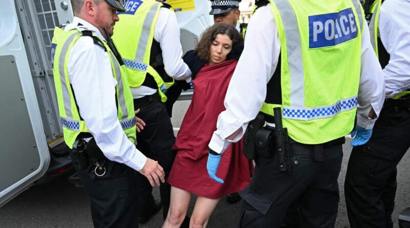 EN IMAGES | Près de 900 arrestations à un rassemblement de soutien à Palestine Action à Londres