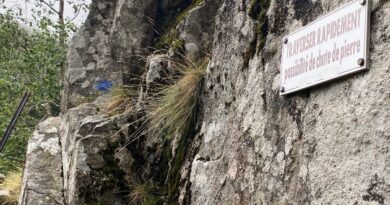 EN IMAGES - Vallée de Munster : un chemin de randonnée du GR 531 rouvre grâce aux bénévoles du Club vosgien  - ici