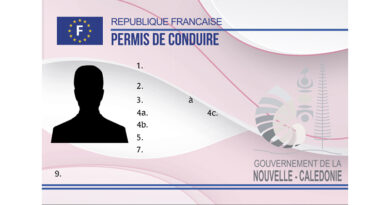 Édition du nouveau permis de conduire