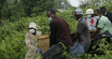 En RDC, le bilan des dernières attaques des Forces démocratiques alliées passe à 89 morts