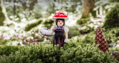En attendant l'Alsace, La Schwarzwald Marie en Playmobil - Made In Alsace