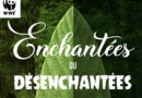 Enchantées ou désenchantées : quelles forêts françaises en 2100 ? - Futuribles