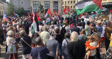 Environ 200 personnes mobilisées pour la Palestine à Cherbourg