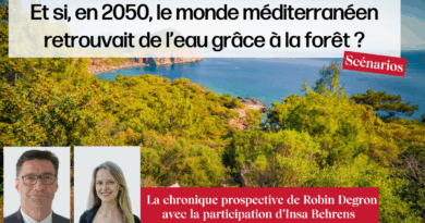 Et si, en 2050, le monde méditerranéen retrouvait de l’eau grâce à la forêt ? - Futuribles
