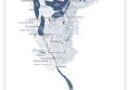 Et si on commençait à regarder les rivières et les fleuves de notre planète comme des arbres ? (5/24) Je vous présente l'érable Saint-Laurent, Acer Laurentius