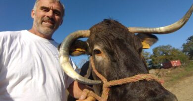Événement "Élevages et Terroirs" à Villeneuve-de-Marsan : l'éleveur Joël Sillac en chef d’orchestre - ici