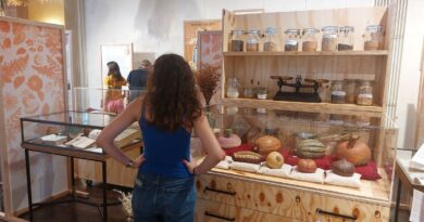 « Fabriques à graines » : une exposition pour découvrir l’Essonne, laboratoire des semences modernes