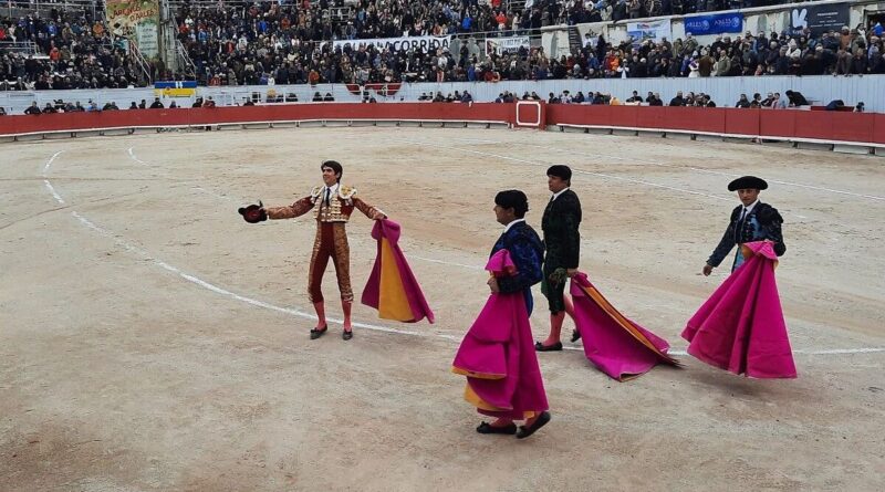 Feria du Riz 2025 à Arles : Trois jours de fête en Camargue - ici