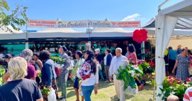 Festi-Plantes 2025 : biodiversité, concerts et découvertes au Parc du Colosse
