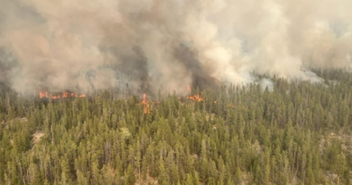 Feux de forêt : un ordre d’évacuation dans la région de Chilcotin