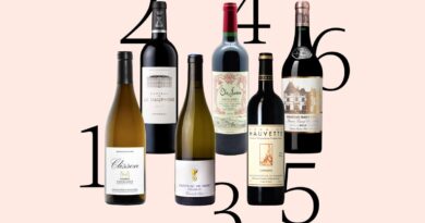 Foire aux vins 2025 : 6 cuvées mûres à point à acheter sans tarder