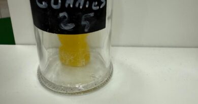 GUMMIES