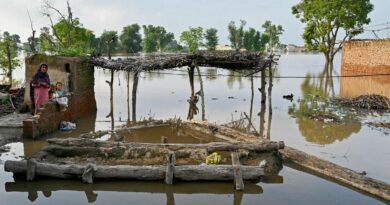 Grenier de l’Inde et du Pakistan, le Pendjab subit la mousson la plus dévastatrice depuis près de quarante ans