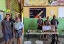 Guadeloupe : une armée de chiens renifleurs pour sauver l'iguane endémique de l'invasion