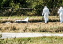 Guerre en Ukraine. Incursion de drones russes en Pologne : réactions, l'Otan sous pression... ce que l'on sait
