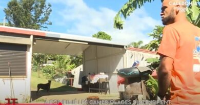 Hausse de cambriolages à Poindimié, coopération culturelle océanienne... Le JT de Caledonia du 2 septembre