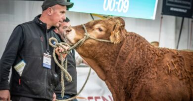 ICI Limousin vous invite aux journées Limousines du 18 au 20 octobre 2025. - ici