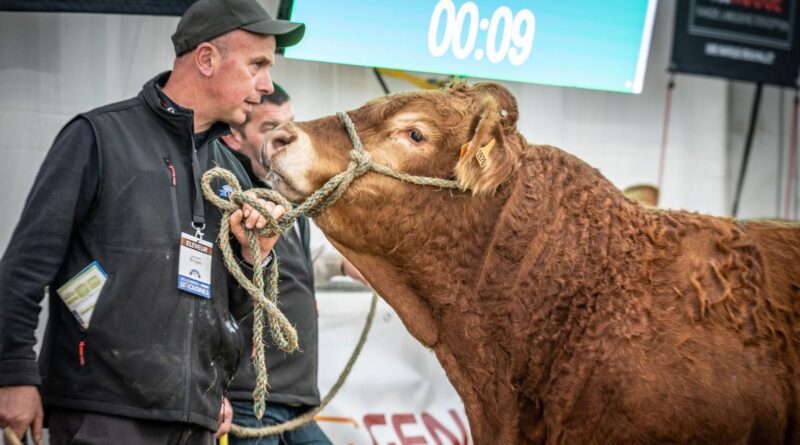 ICI Limousin vous invite aux journées Limousines du 18 au 20 octobre 2025. - ici