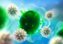 IMMUNITÉ : Une signature génétique prédit une réponse sévère à l’infection