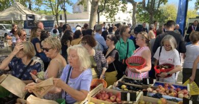 "Il ne tiendra que si nous sommes nombreux à venir" : un nouveau marché paysan lancé au Millénaire, à Montpellier