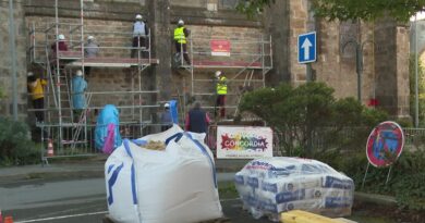Ils viennent de toute l'Europe pour sauver une petite église bretonne... et ses oiseaux