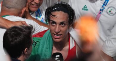 Equipe d'Algérie - Coupe du monde 2026 - FAF - Fédération algérienne de football - Vladimir Petkovic