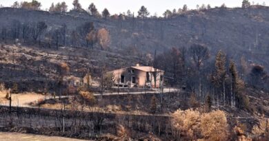 Incendie dans l'Aude. "C’est une vie qui s’éteint" : un mois après, les habitants tentent de se relever sur des terres calcinées