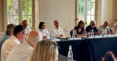 Intelligence artificielle : La Réunion veut bâtir une solution locale