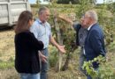 Philippe Dupouy, président du Département : «Cet orage vient fortement impacter les vendanges en cours dans nos vignobles. Nos viticulteurs sont une fois encore confrontés à une nouvelle épreuve. J’apporte tout mon soutien aux Gersois sinistrés.»