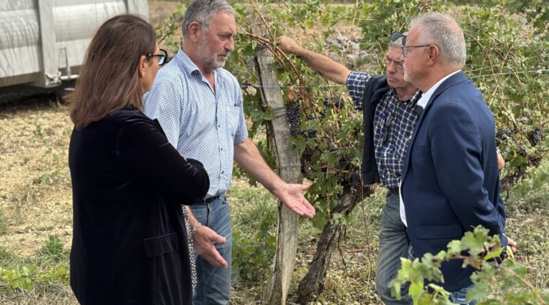 Philippe Dupouy, président du Département : «Cet orage vient fortement impacter les vendanges en cours dans nos vignobles. Nos viticulteurs sont une fois encore confrontés à une nouvelle épreuve. J’apporte tout mon soutien aux Gersois sinistrés.»