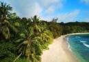 Guadeloupe, Basse-Terre, Pointe-à-Pitre, volcano, beach, palm, waterfall, Creole, island