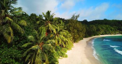 Guadeloupe, Basse-Terre, Pointe-à-Pitre, volcano, beach, palm, waterfall, Creole, island