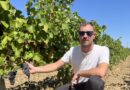 "J’ai construit ça sur un tiers de ma vie", membre de la nouvelle génération de vignerons, Théo Marignane prône une agriculture naturelle