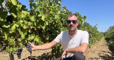 "J’ai construit ça sur un tiers de ma vie", membre de la nouvelle génération de vignerons, Théo Marignane prône une agriculture naturelle