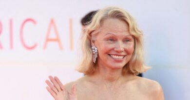 "Je vais tomber amoureuse encore et encore" : Pamela Anderson réagit aux accusations de faux couple avec Liam Neeson