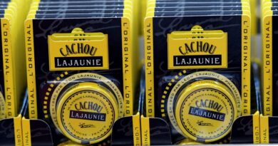 "Je veux apporter ma pierre à l'édifice" : un confiseur héraultais veut racheter Cachou Lajaunie, à l'arrêt depuis quelques semaines