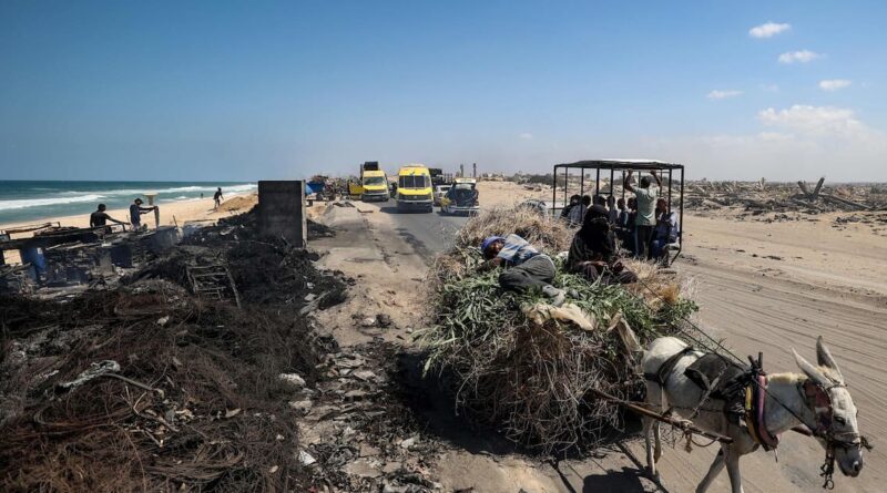 Journal d’une Gazaouie : «Pouvez-vous comprendre la cruauté de devoir se réjouir de miettes ?»