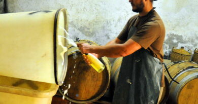 Katzenthal. Les Trublions, un cidre 100% alsacien amené à séduire les amateurs de vin et de bière
