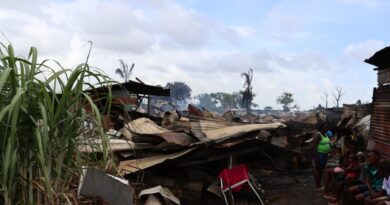 Kourou : fusillade dans le quartier informel de Chili
