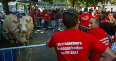 L'UE met l'accord avec le Mercosur sur la table, suspense à Paris