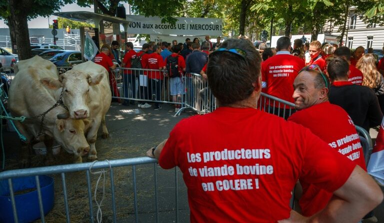 L'UE met l'accord avec le Mercosur sur la table, suspense à Paris